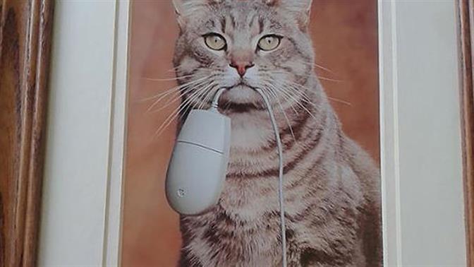 Απίστευτα ευρήματα σε μαγαζιά μεταχειρισμένων