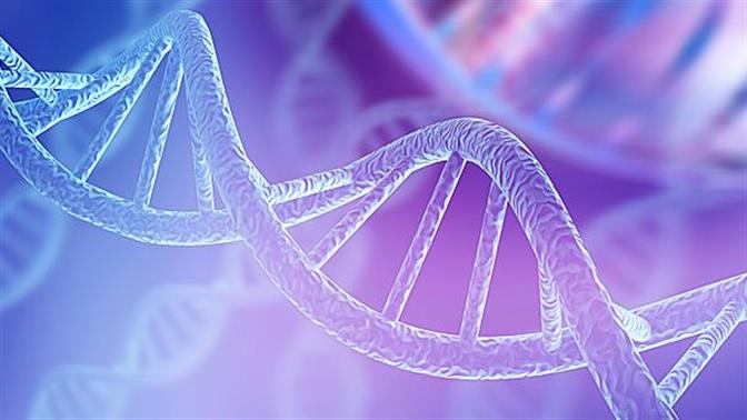 14 ενδιαφέρουσες πληροφορίες για το DNA