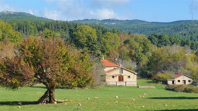 Το Τατόι γίνεται θερινό σινεμά για μια βραδιά!