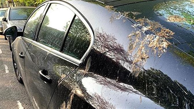 Πώς να καθαρίσεις τις κουτσουλιές από το αυτοκίνητο