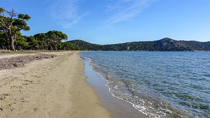 Τέλειες παραλίες με δέντρα στην Αττική