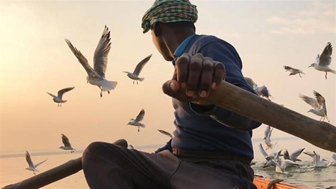 Οι νικητές του διαγωνισμού φωτογραφίας iPhone είναι εδώ