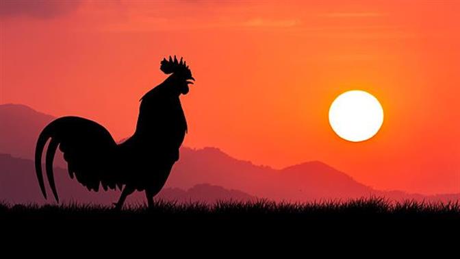 Πώς θα ξυπνάς νωρίς πιο εύκολα