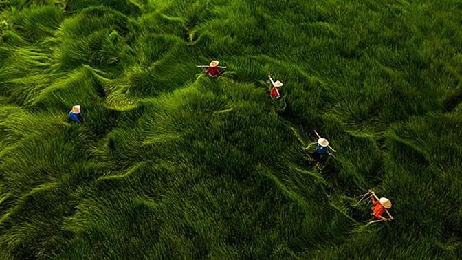 Εντυπωσιακές αεροφωτογραφίες από όλον τον κόσμο