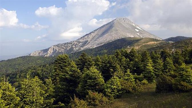 WWF: Προστατεύοντας τη φύση γλιτώνουμε τις πανδημίες