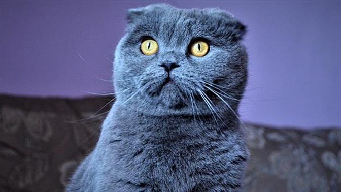 9 φορές που είπαμε «τι φάση» τον τελευταίο μήνα