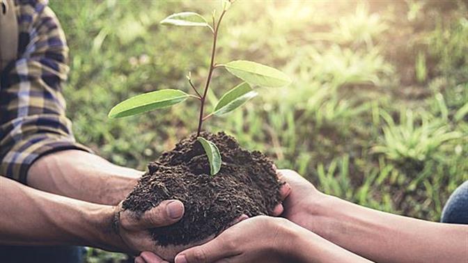 Ξεκινά το μεγαλύτερο πρόγραμμα αναδάσωσης στην Ελλάδα