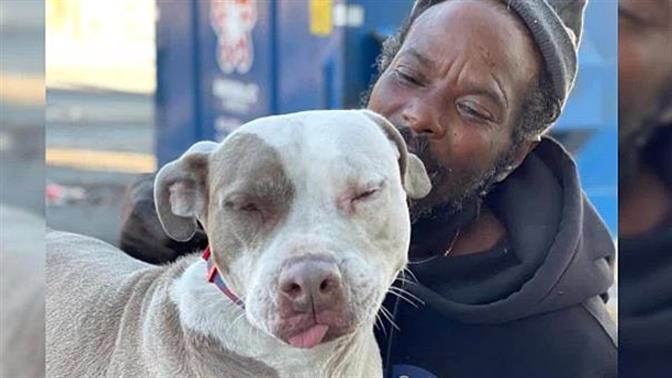 Άστεγος μπήκε σε φλεγόμενο καταφύγιο και έσωσε δεκάδες σκύλους