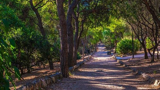 Πράσινα μέρη κοντά στην Αθήνα για βόλτα στην ύπαιθρο