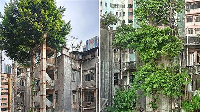 10 φορές που η φύση «πολεμά» τον πολιτισμό