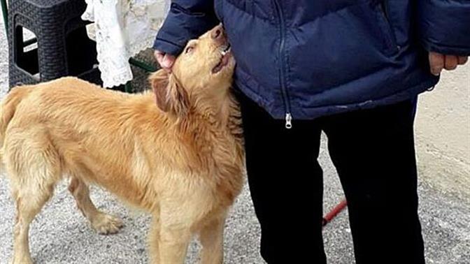 Σκύλος «μυρίστηκε» τον σεισμό και έσωσε μία οικογένεια