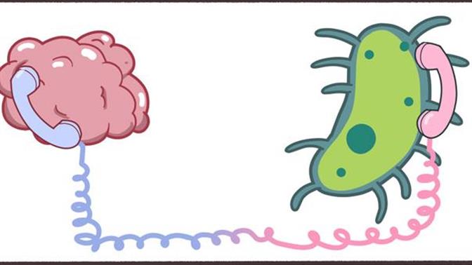 Πως επηρεάζουν τα βακτήρια του εντέρου την ψυχολογία σου;