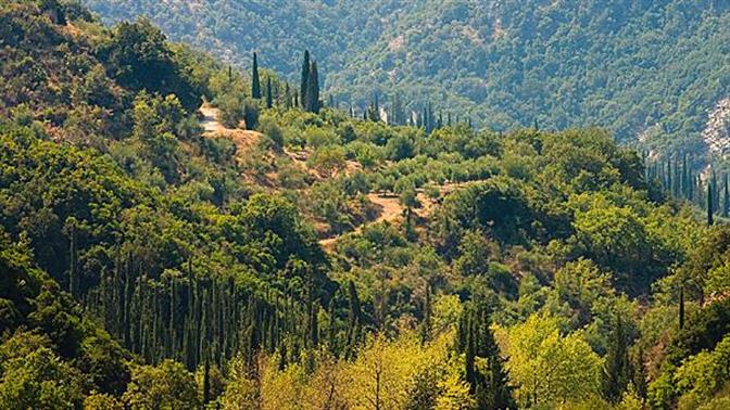 Σύστημα για να εντοπίζουμε πυρκαγιές έφτιαξαν Έλληνες φοιτητές