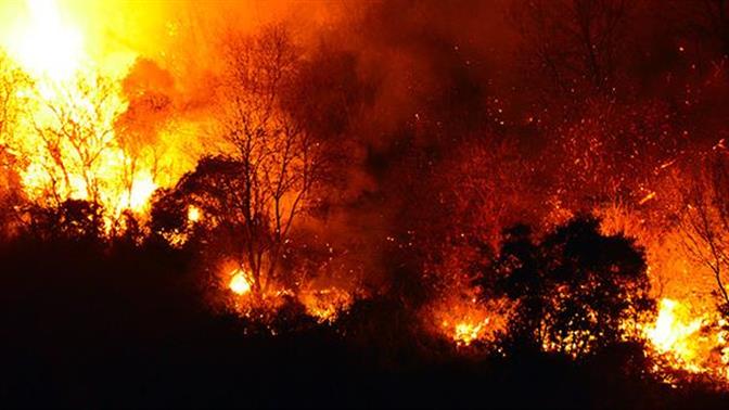 Γιατί δεν χρησιμοποιήθηκε το σύστημα πρόγνωσης πυρκαγιών του Αστεροσκοπείου;