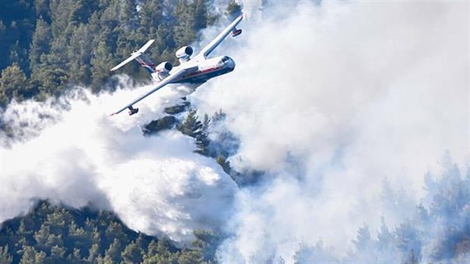 Στα Βίλια καίγεται παρθένο δάσος: Τεράστια οικολογική καταστροφή