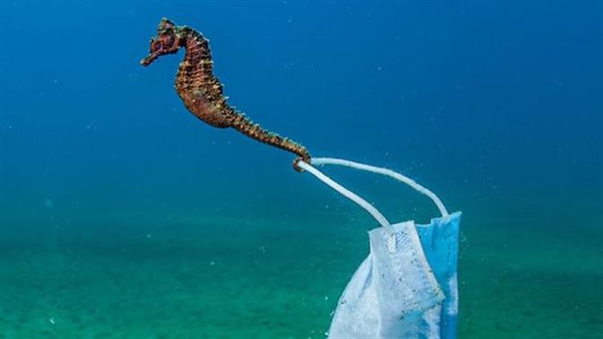 Η μαγεία των ωκεανών στα Οcean Photography Awards