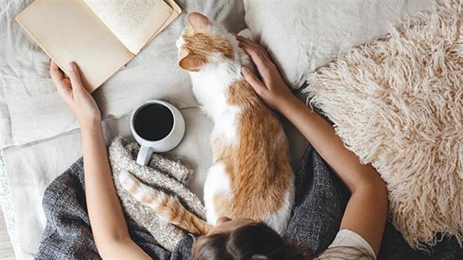 Πώς να περάσεις καλά και στο σπίτι