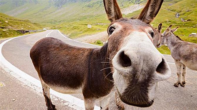 Τα αστεία στερεότυπα της Ευρώπης