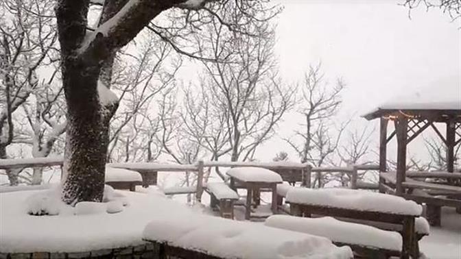 Έπεσαν τα πρώτα χιόνια στην Πάρνηθα [βίντεο]