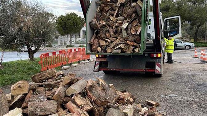 Στη Γλυφάδα μοιράζουν τα σπασμένα δέντρα στους δημότες