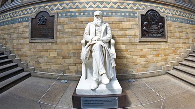 Πώς η θεωρία του Δαρβίνου συνδέεται με τον σεξισμό;