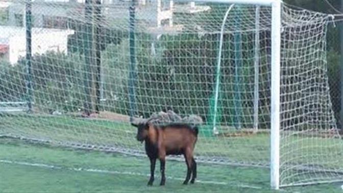 Οι πιο αστείες στιγμές στα ελληνικά γήπεδα