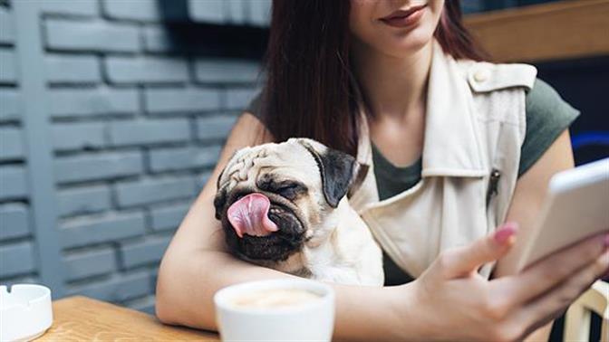 Έξι café που υποδέχονται τον σκύλο σου με ανοιχτές αγκάλες