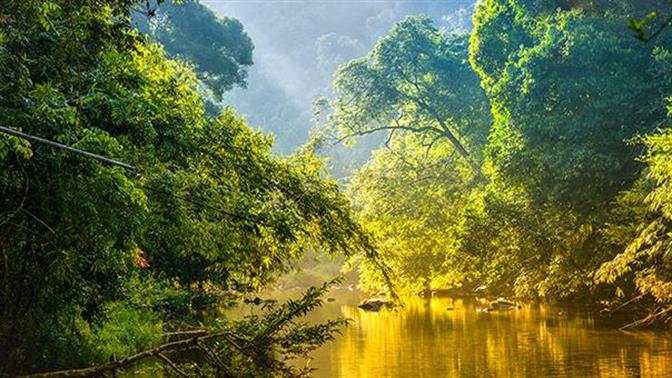 Πόσο χρόνο ζωής έχει το δάσος του Αμαζονίου;