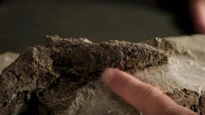 Ανακάλυψαν απολίθωμα δεινοσαύρου που σκοτώθηκε από γιγάντιο αστεροειδή!