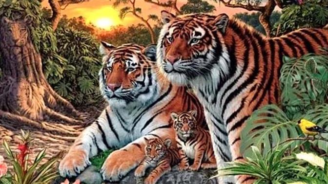 Η viral οφθαλμαπάτη που έχει τρελάνει το ίντερνετ