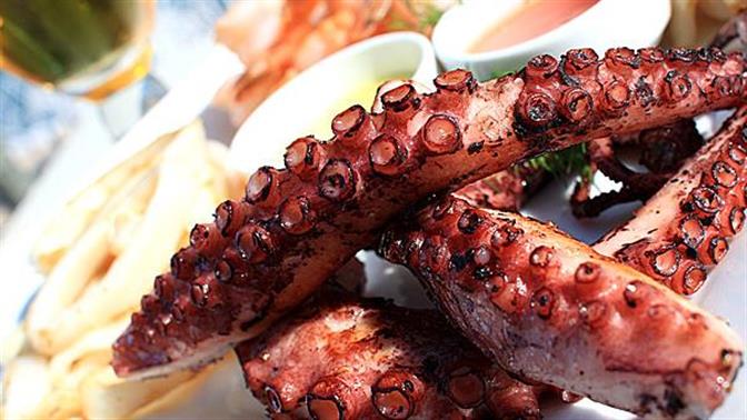 Πρέπει να σταματήσουμε να τρώμε χταπόδια;