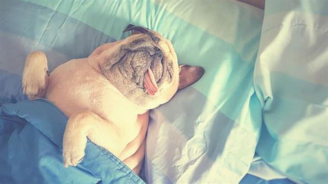 Πώς θα κοιμηθείς καλύτερα το καλοκαίρι