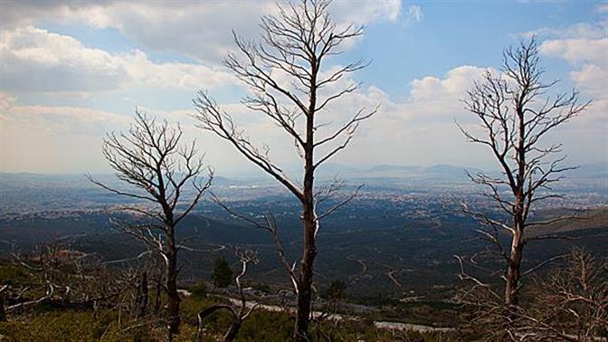 Στάχτη 20.000 στρέμματα στην Πεντέλη