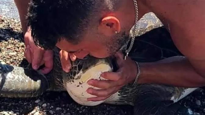 Δύτης στη Ρόδο έσωσε θαλάσσια χελώνα με φιλί της ζωής (βίντεο)