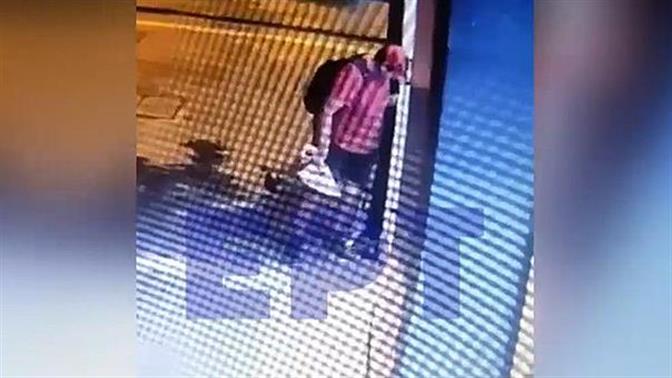 Άνδρας στη Θεσσαλονίκη πάτησε μέχρι θανάτου νεογέννητο γατάκι