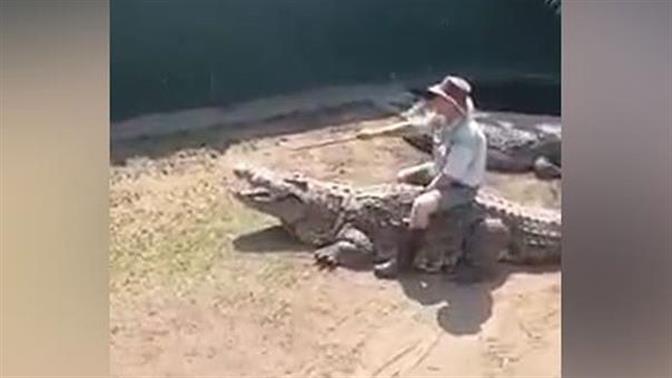 Η τρομακτική στιγμή που γιγαντιαίος κροκόδειλος αρπάζει τον εκπαιδευτή του μπροστά σε θεατές