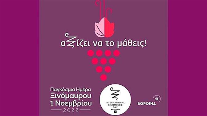 Την 1η Νοεμβρίου γιορτάζουμε το Ξινόμαυρο!