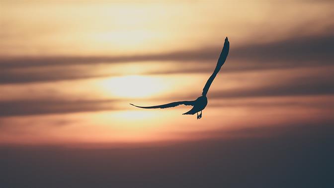 Η Aegean έχει σήμερα 70% έκπτωση σε όλα τα εισιτήρια εξωτερικού