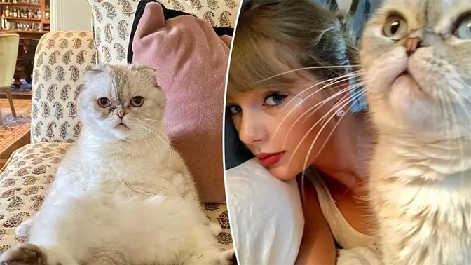 Η γάτα της Τέιλορ Σουίφτ αξίζει 97 εκατ. δολάρια