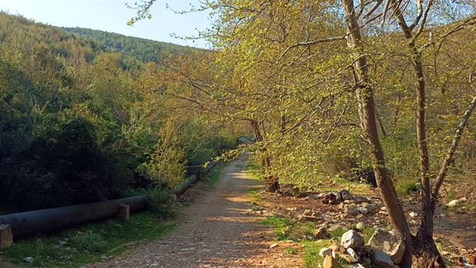 Το Φαράγγι της Οινόης είναι η τέλεια ανοιξιάτικη βόλτα στην Αττική