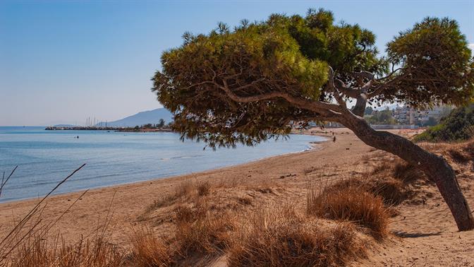 Για βουτιές και φαγητό περιμένοντας το πλοίο στη Ραφήνα