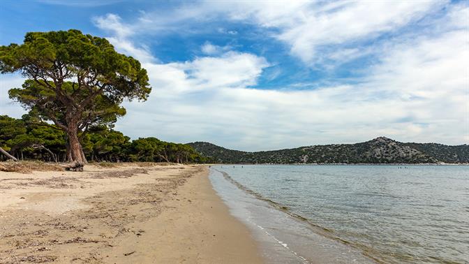 Σούπερ αμμουδερές παραλίες το πολύ μία ώρα από την Αθήνα