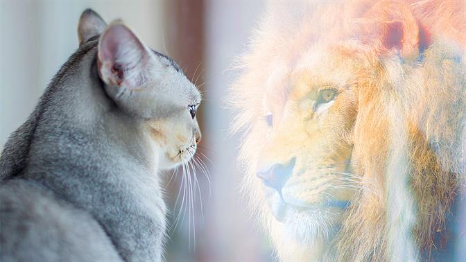 Πώς θα αποκτήσω αυτοπεποίθηση;