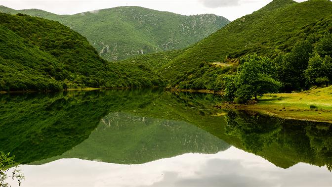 Λάδωνας: Παραμύθι στο νερό