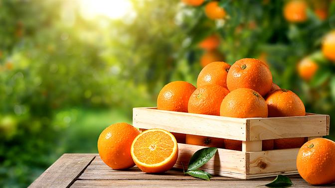 Γιατί τα πορτοκάλια είναι τα καλύτερα φρούτα