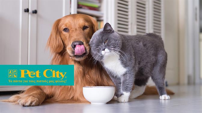 Υπηρεσίες κτηνιατρικής και grooming έρχονται στα καταστήματα Pet City 