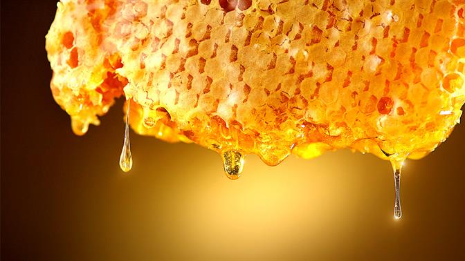 Γιατί η βανίλια ελάτης είναι το καλύτερο μέλι του πλανήτη