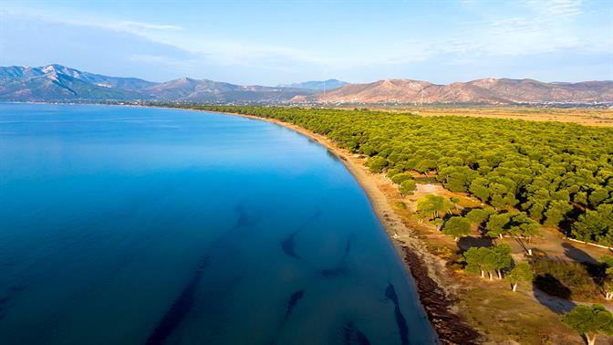 Βουτιές και βόλτες στη φύση του Μαραθώνα