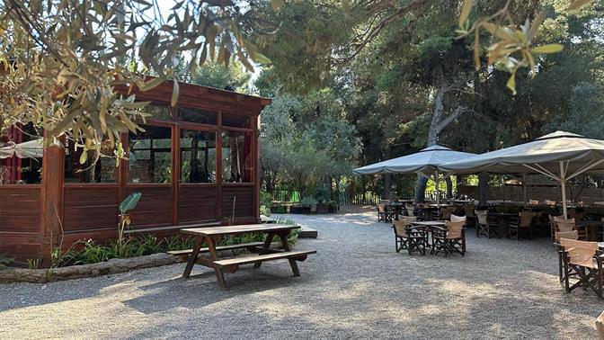 Για καφέ στη δροσιά σε Αιγάλεω, Χαϊδάρι, Περιστέρι, Πετρούπολη