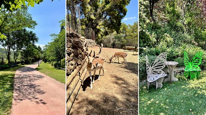 Η Ζέλιος Γη είναι ο βοτανικός κήπος για τον οποίο αξίζει να οργανώσεις εκδρομή (χωρίς πλάκα)